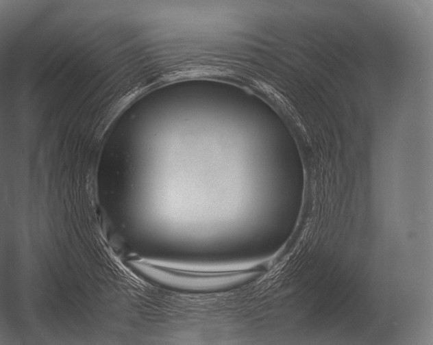 X0000052951185200507300037