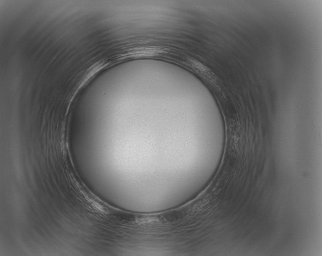 X0000052951186200507300037