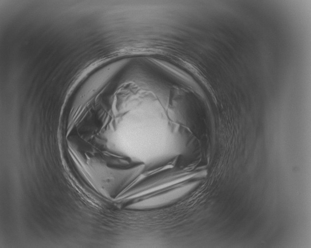 X0000052951187200507300037