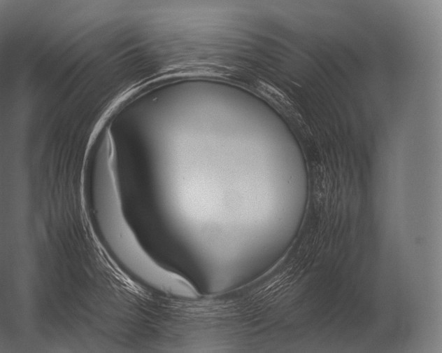 X0000052951188200507300037