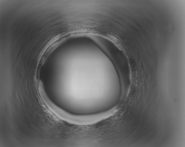 X0000052951189200507300037