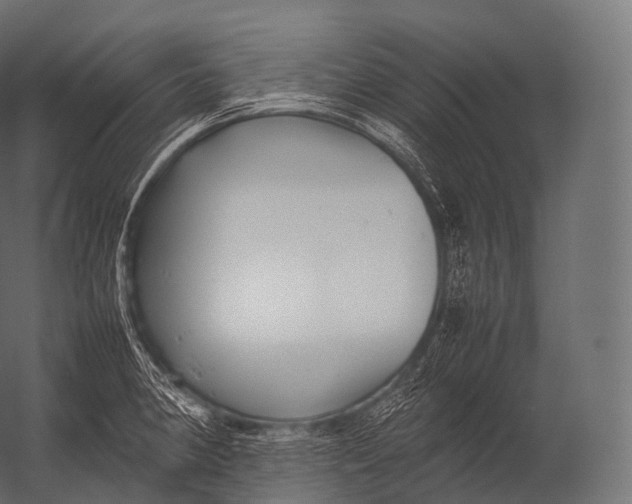 X0000052951190200507300037