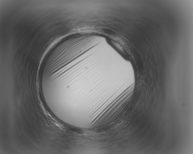 X0000052951191200507300037