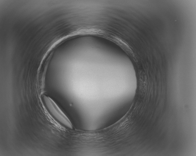 X0000052951192200507300037
