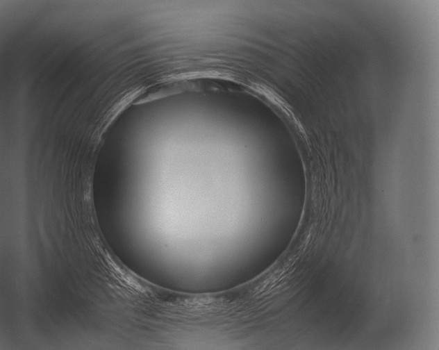 X0000052951193200507300037