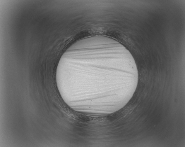 X0000052951201200507300036