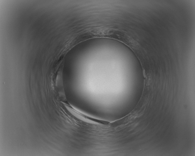 X0000052951202200507300036