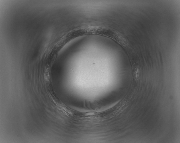 X0000052951204200507300036
