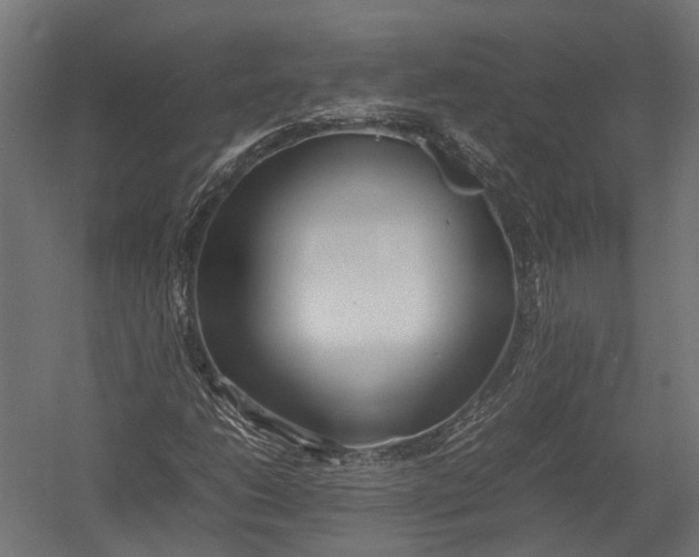 X0000052951206200507300036