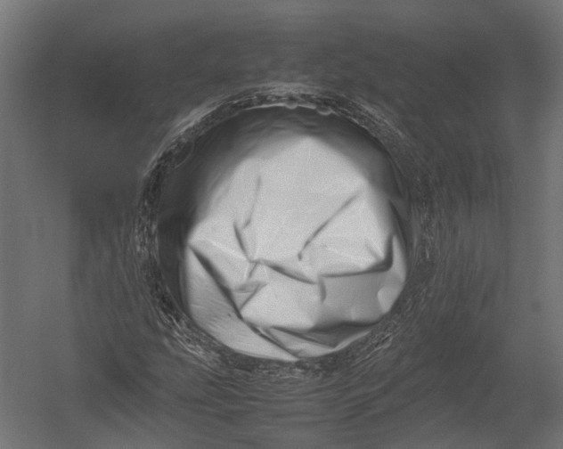 X0000052951207200507300036