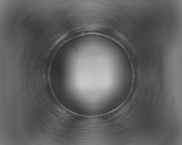 X0000052951210200507300036