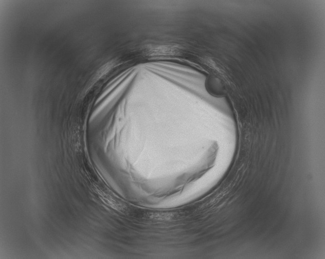 X0000052951211200507300036