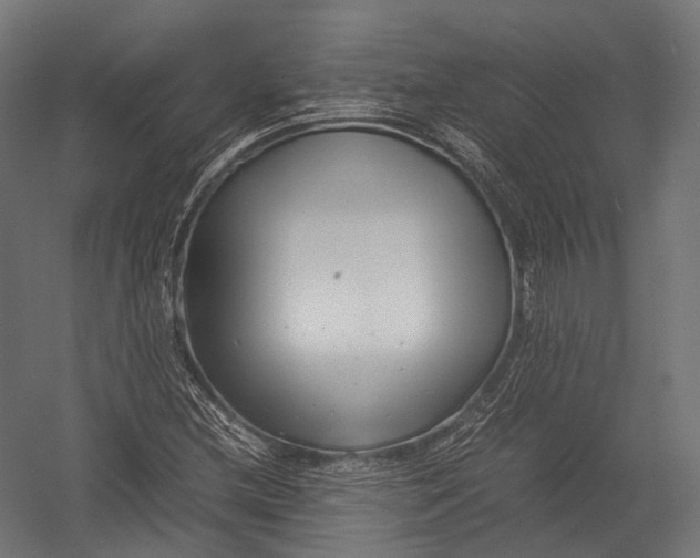 X0000052951212200507300036