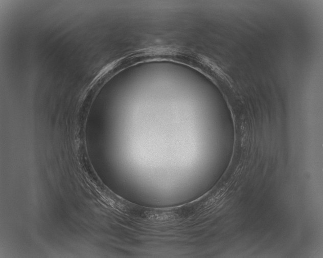 X0000052951213200507300036