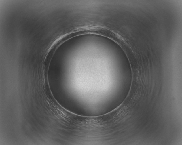 X0000052951214200507300036