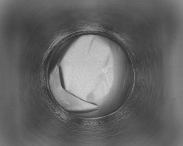 X0000052951215200507300036