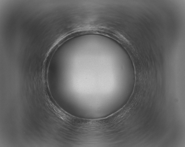 X0000052951216200507300036