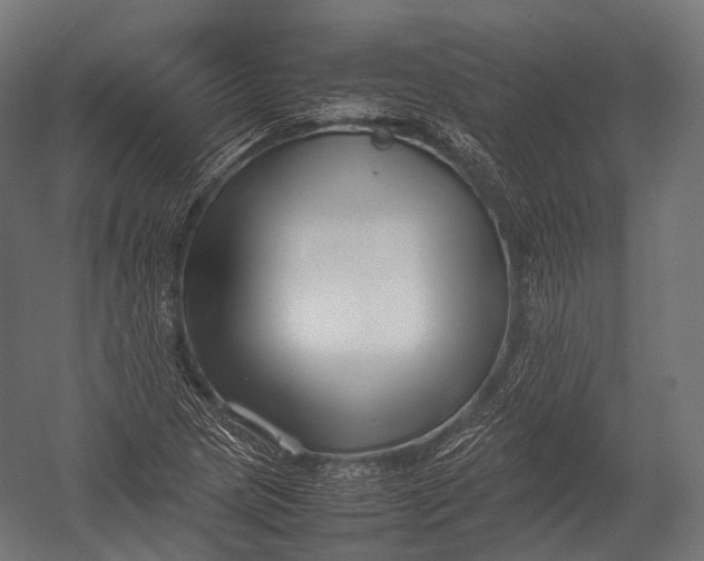 X0000052951217200507300036