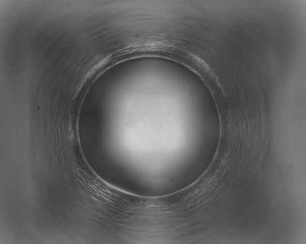 X0000052951218200507300036