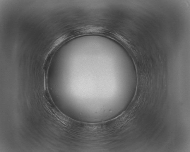 X0000052951219200507300036