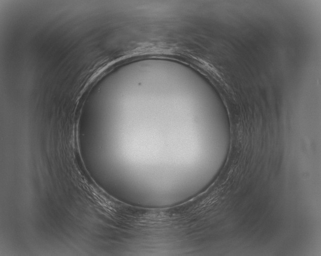 X0000052951220200507300036
