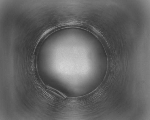 X0000052951222200507300036