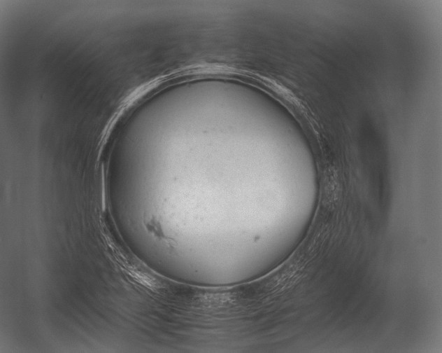 X0000052951223200507300036