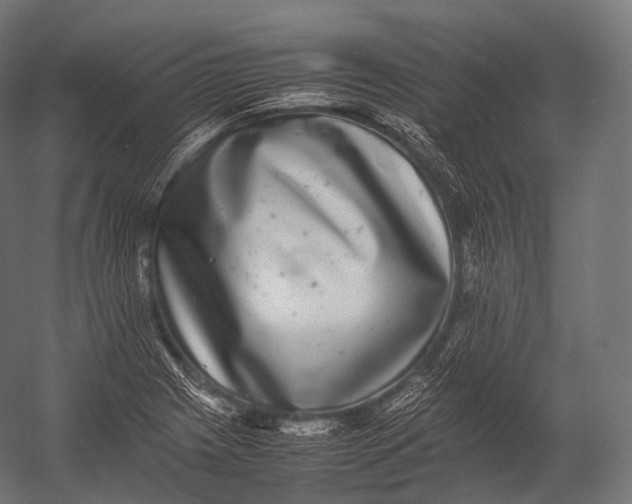 X0000052951225200507300036