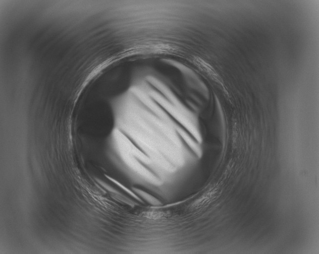 X0000052951226200507300036