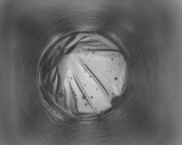 X0000052951227200507300036