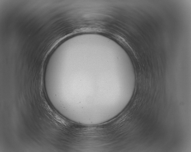 X0000052951228200507300036