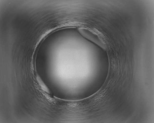 X0000052951230200507300036