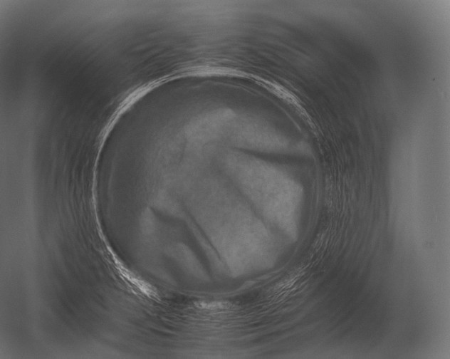 X0000052951231200507300036