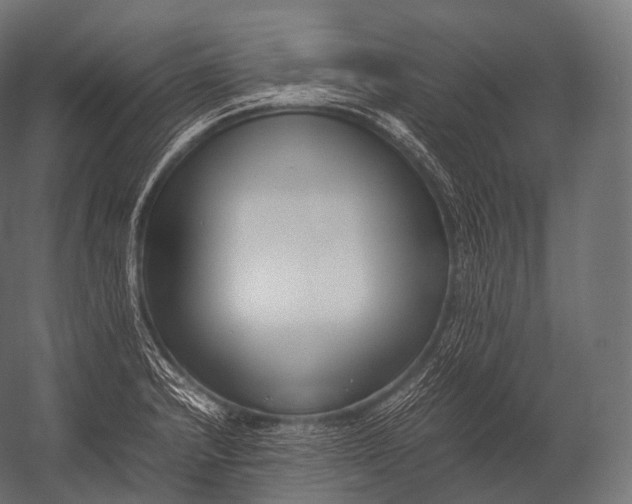 X0000052951232200507300036
