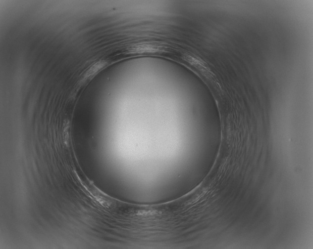 X0000052951233200507300037