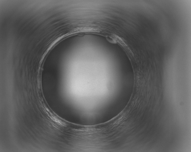 X0000052951236200507300037