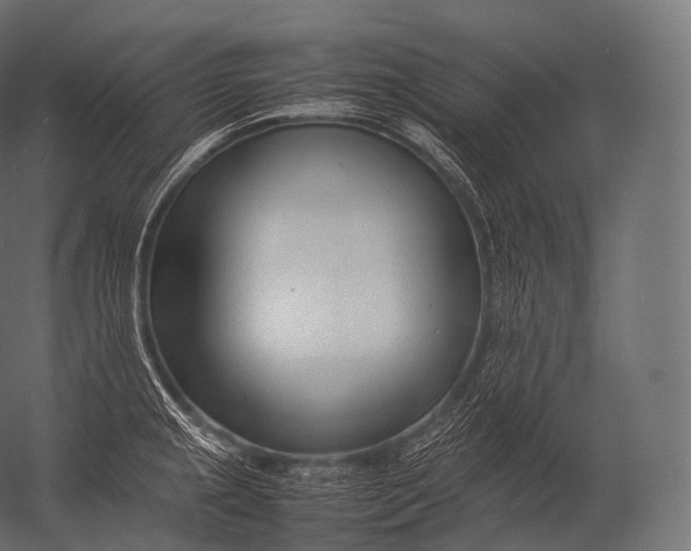 X0000052951237200507300037