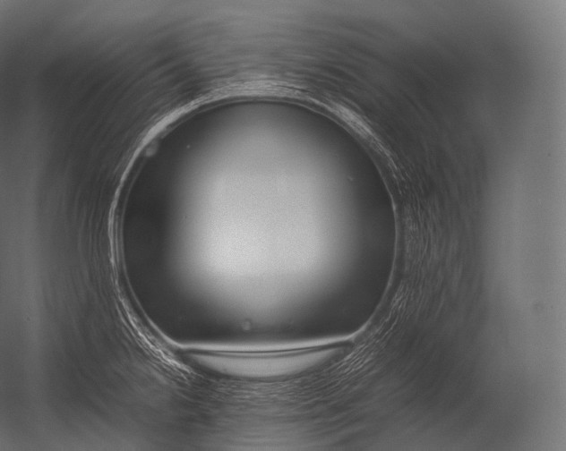 X0000052951238200507300037