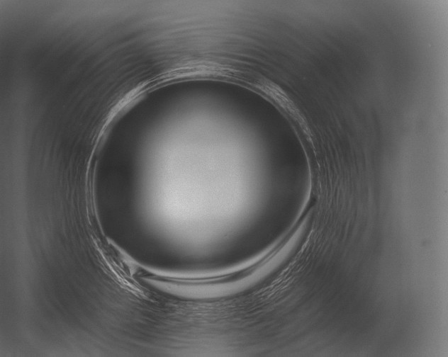 X0000052951242200507300037