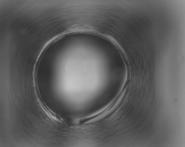 X0000052951246200507300037