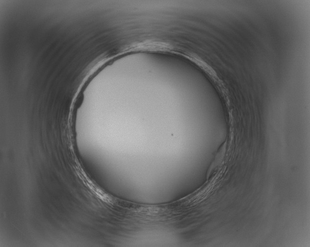 X0000052951248200507300037