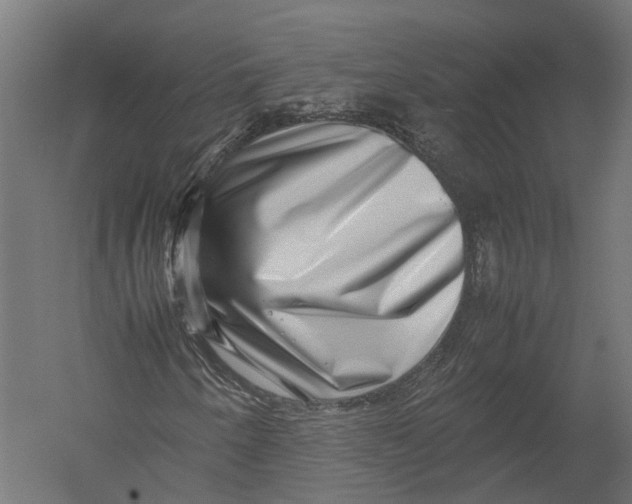 X0000052951250200507300036