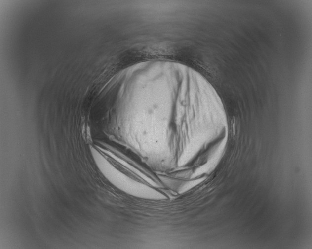 X0000052951251200507300036