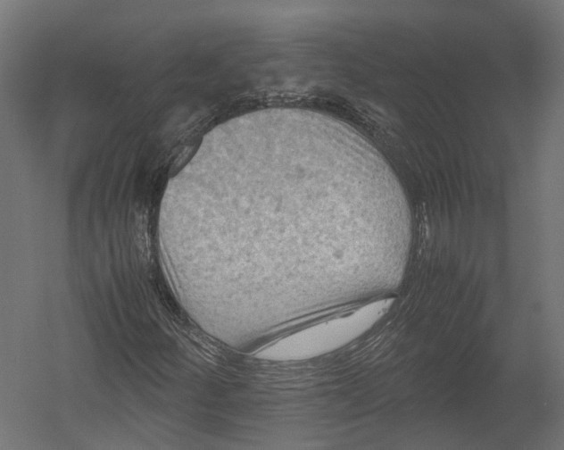 X0000052951252200507300036