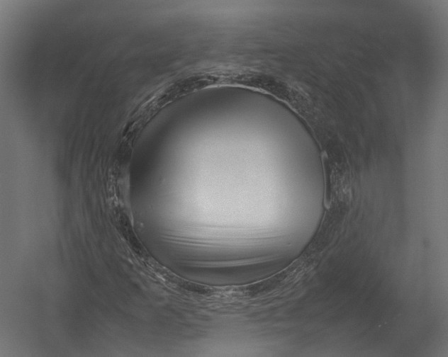 X0000052951253200507300036