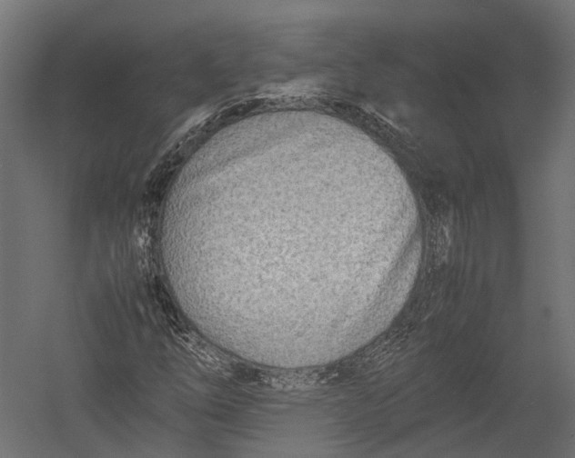 X0000052951254200507300036