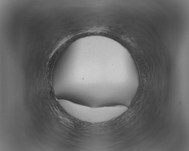 X0000052951256200507300036