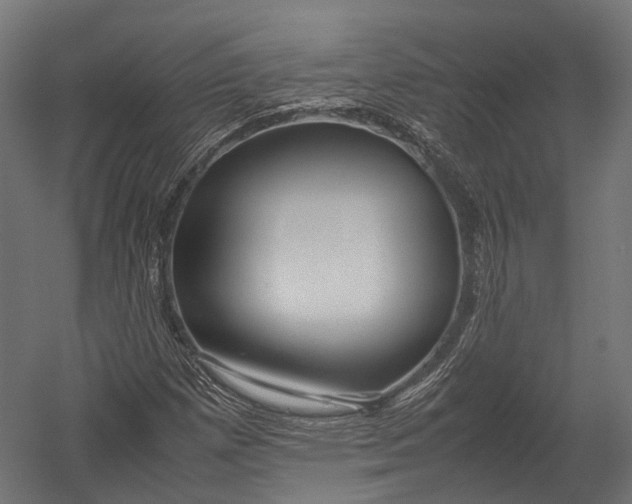 X0000052951257200507300036