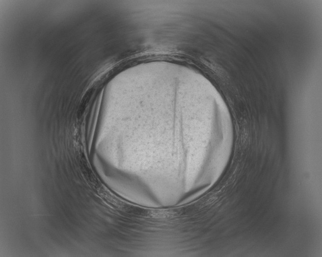 X0000052951258200507300036
