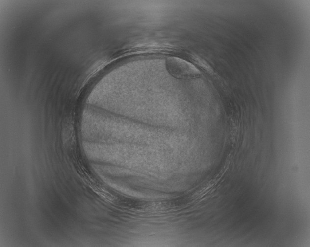 X0000052951259200507300036